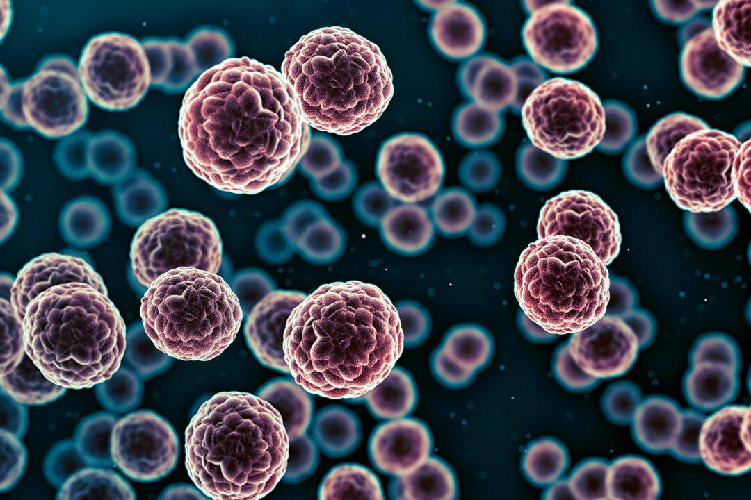 Complex Blood Cancer on the Rise in Australia