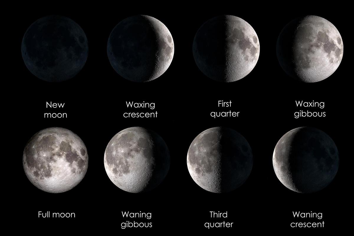The lunar phases. (Illustration - Delpixel/Shutterstock)