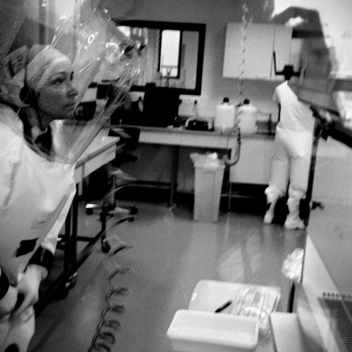 Senate Homeland Security Committee Hearing on US Taxpayer-Funded High-Risk Virus Research