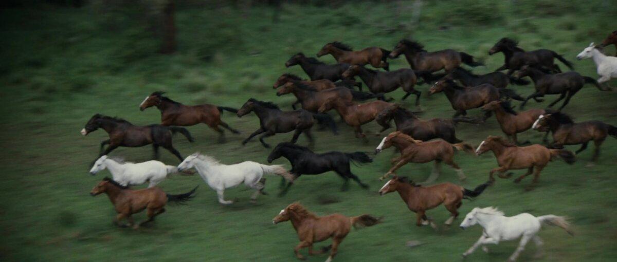 Brumbies on the run, in "The Man From Snowy River." (20th Century Fox)