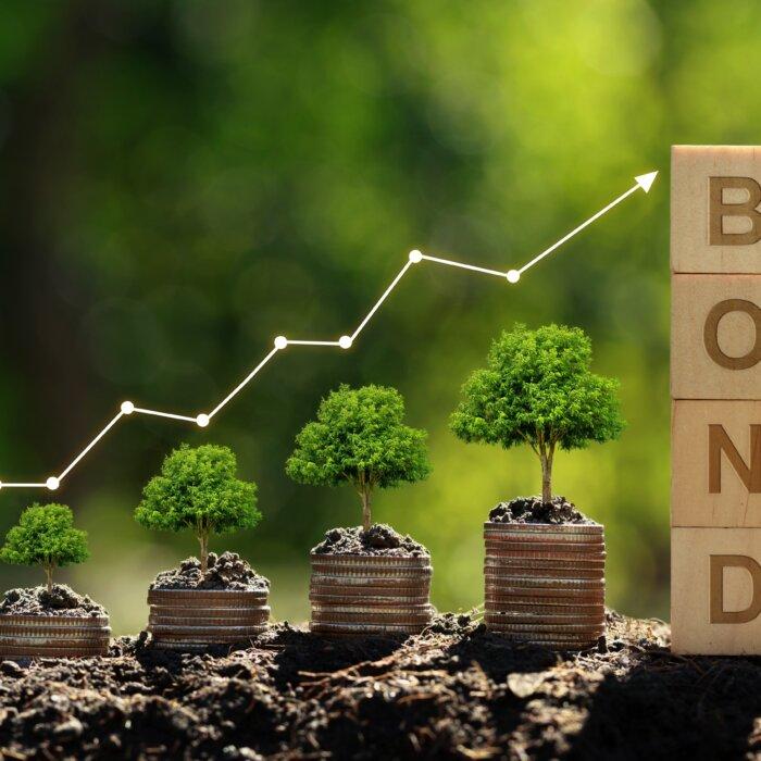 Tips for a Bond Ladder