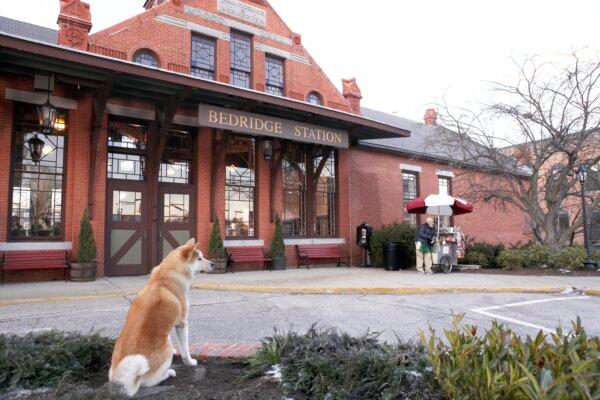 Hachi waits for his master, in "Hachi, A Dog's Tale." (MovieStillsDB)