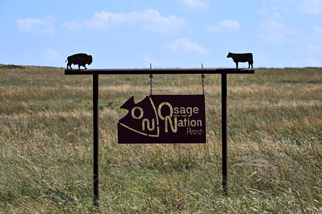 Judge Orders Wind Farm Dismantled in Win for Tribal Sovereignty