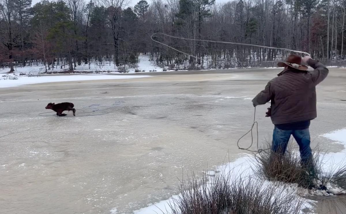 Arkansas cowboy Max Bishop spins his lasso, preparing to save a calf stranded on thin ice on January 18. (Courtesy of Max Bishop)