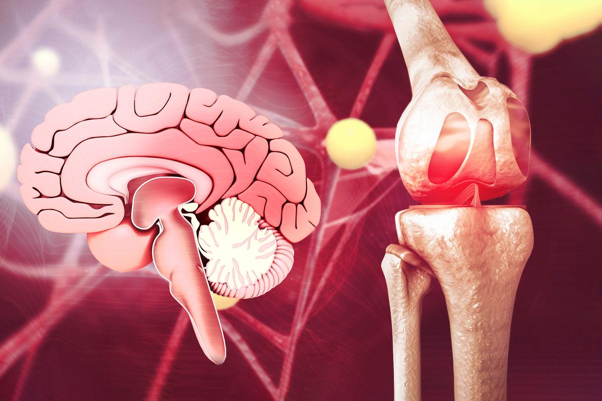 How Chronic Pain Makes Us Fat–and What to Do About It