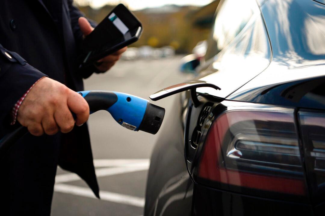 Lords Report Urges Immediate Government Action to Boost Electric Vehicle Adoption
