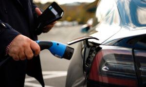 Lords Report Urges Immediate Government Action to Boost Electric Vehicle Adoption