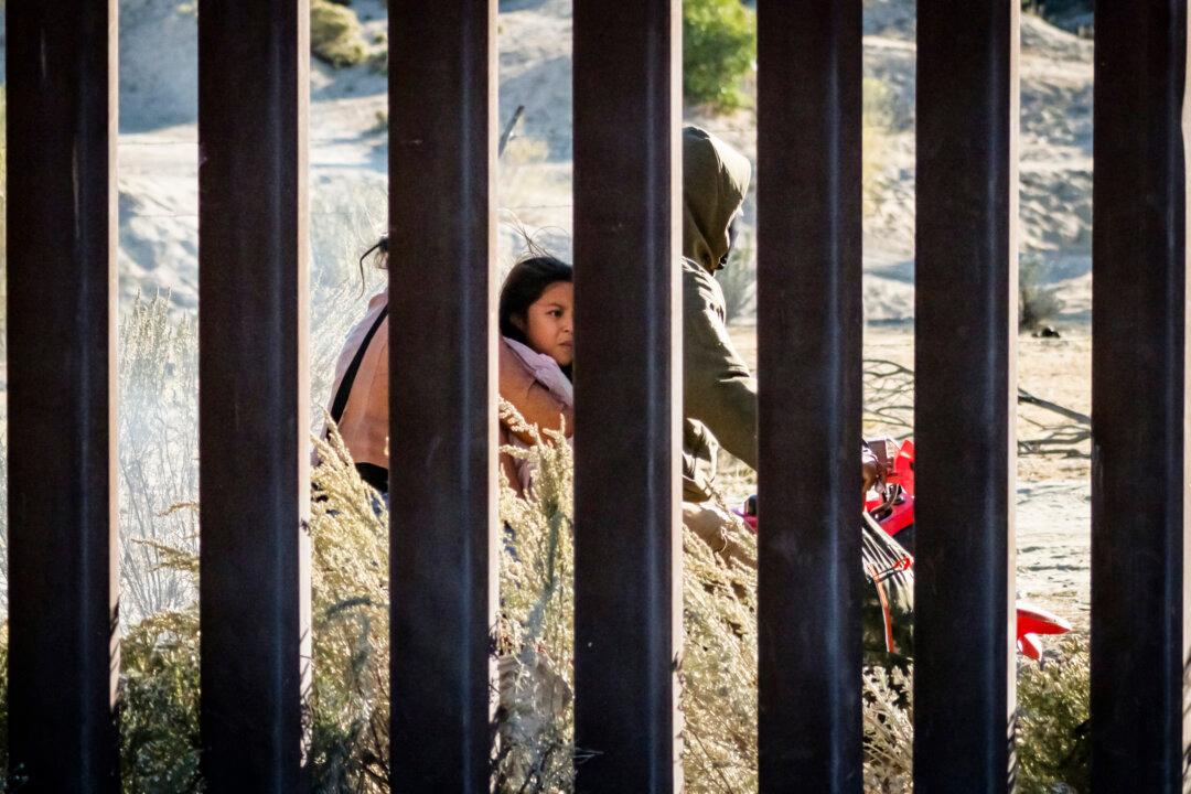 Border Wall Works, Helps Curb Illegal Immigration, Biden Appointee Testifies