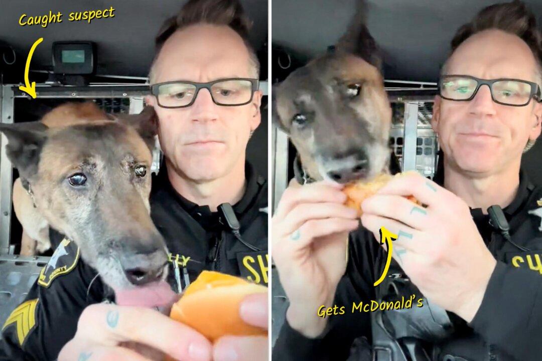 VIDEO: Officer and K9 Partner Go Viral Bonding Over Lunch—Sharing Burgers, Fries, Burritos