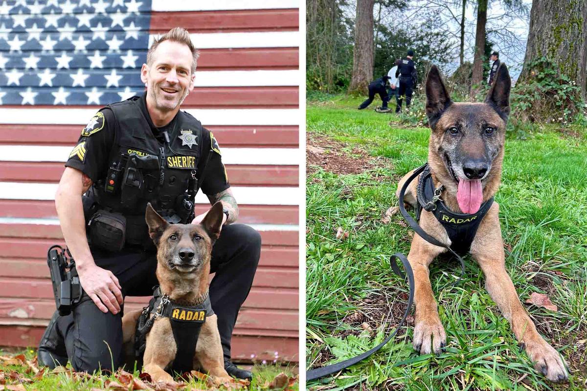 Sgt. Eamon O’Reilly and Radar the Belgian Malinois K9 officer who went viral. (Courtesy of Washington County Sheriff's Office)