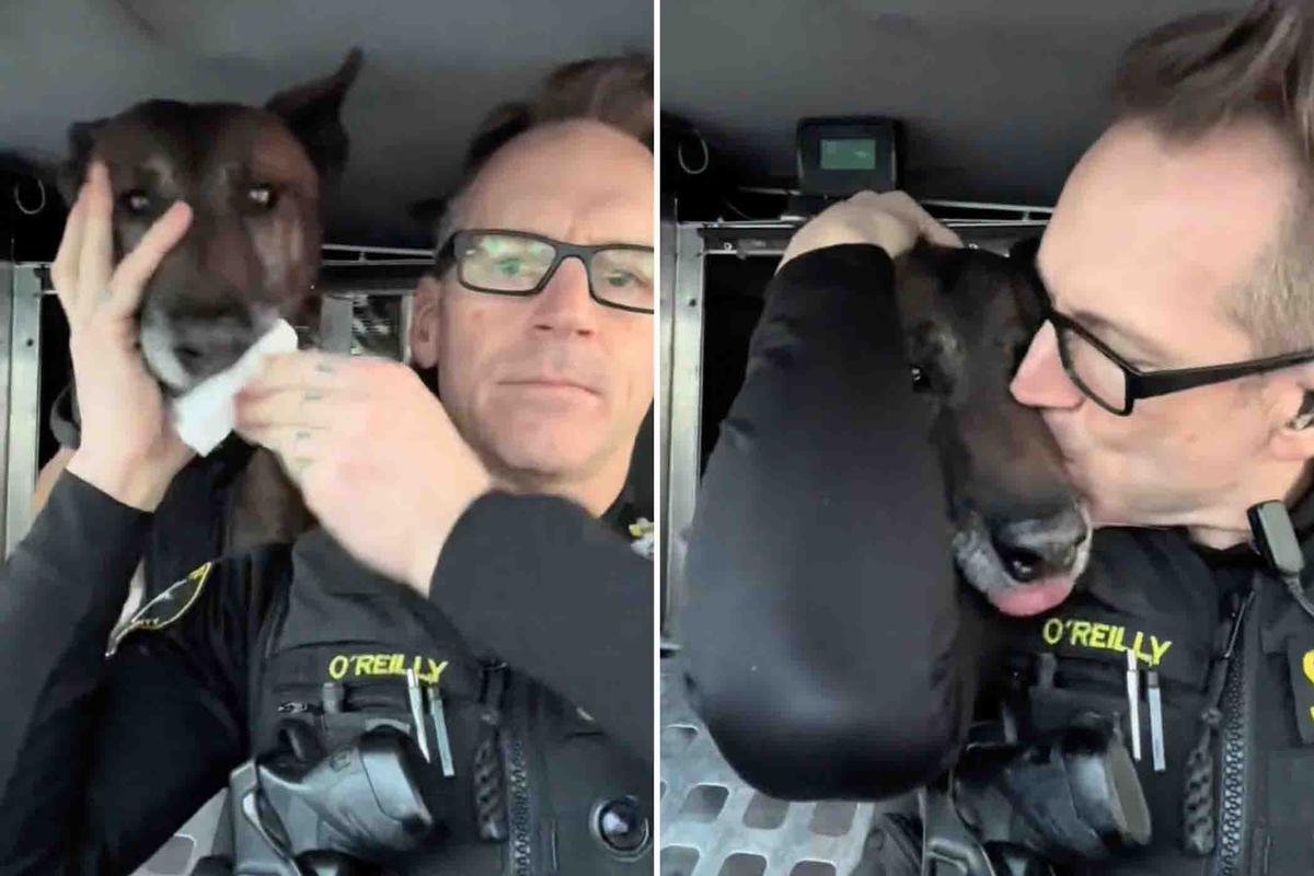 Sgt. Eamon O’Reilly and Radar share a moment that went viral on social media. (Courtesy of Washington County Sheriff's Office)