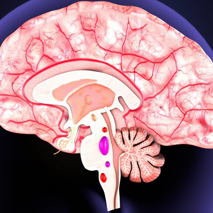 Several Common Drugs Are Linked to Dementia