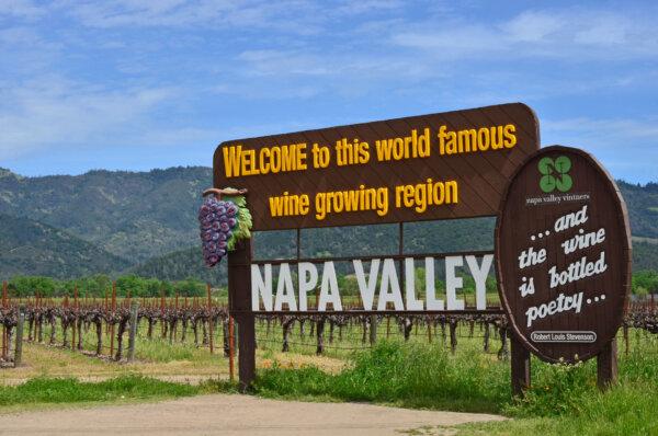 Tripadvisor’s Top 10 Trending Destinations Include Napa, St. Petersburg and Homer, Alaska