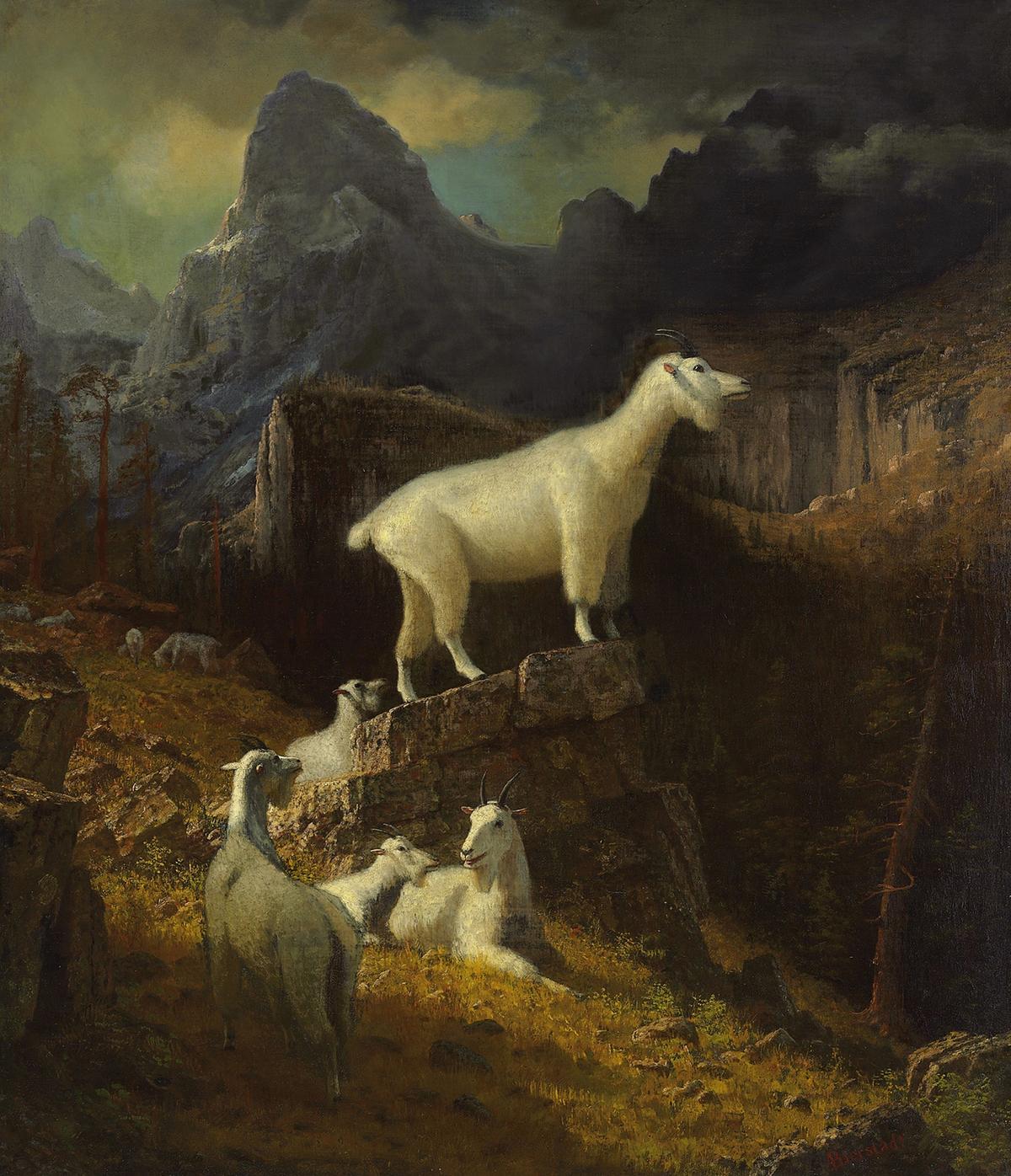 "Rocky Mountain Goats," circa 1885, by Albert Bierstadt. Oil on canvas; 50 1/4 inches by 43 1/4 inches. Private collection. (Public Domain)