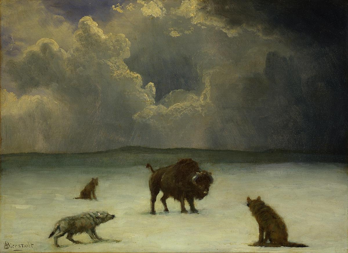 “Trapped,” 19th century, by Albert Bierstadt. Oil on paper mounted on cardboard; 11 inches by 15 inches. Whitney Western Art Museum, Buffalo Bill Center of the West, Cody, Wyoming. (Public Domain)