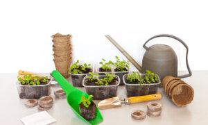 A Garden Jump Start: Tips for Being Your Own Nursery