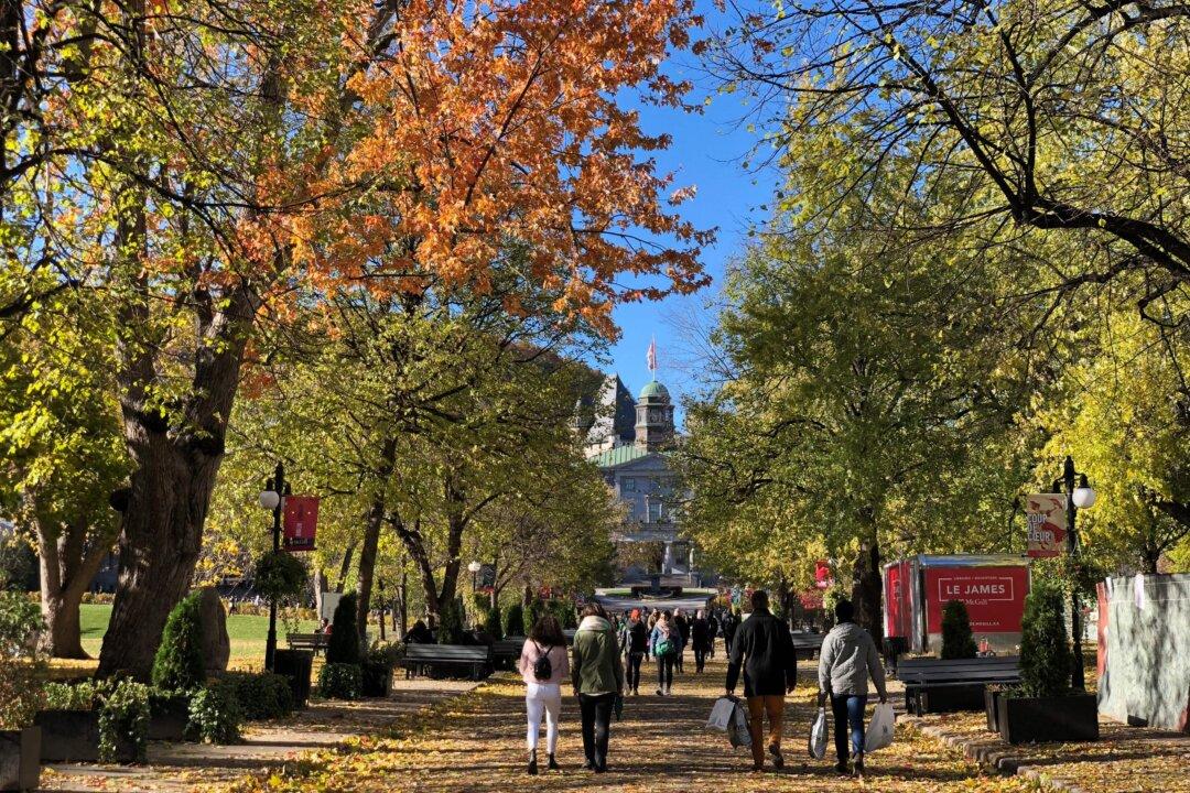 Exposing the True Nature of ‘Campus Investigations’