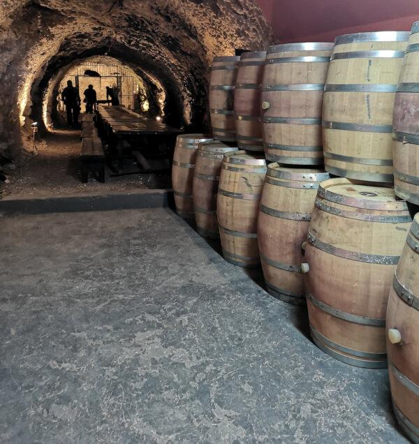 Wine barrels in a Mexican vineyard. (Dreamstime/TNS)