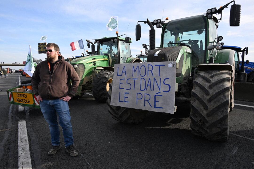 Macron to Take French Farmers’ Grievances to EU President