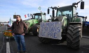 Macron to Take French Farmers’ Grievances to EU President