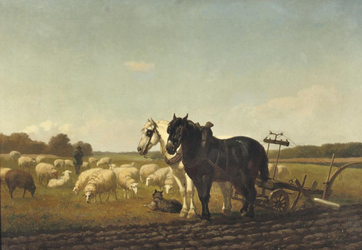 How the Seed Drill Changed Our Lives