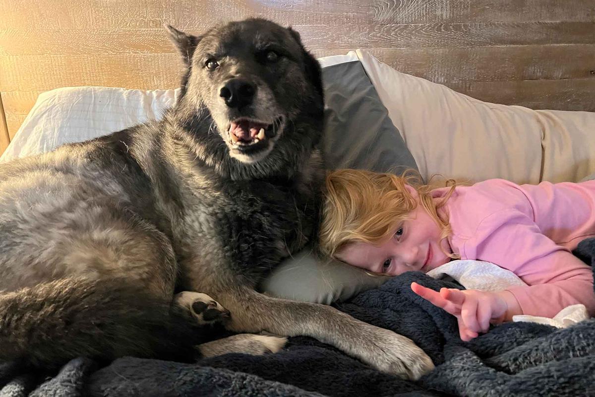 Alora Brim and her dog Ash. (Courtesy of Katie and Freddie Brim)