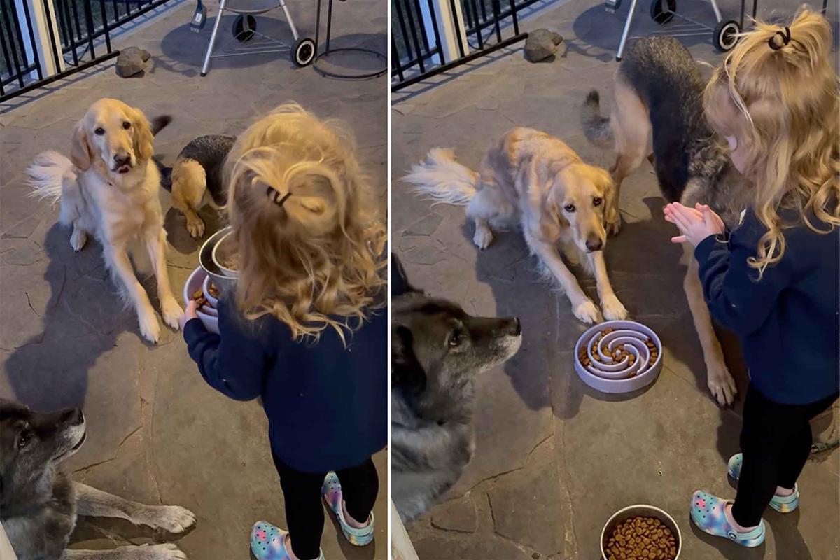 Alora gets ready to feed her excited dogs, but they have to wait until she says grace first. (Courtesy of Katie and Freddie Brim)
