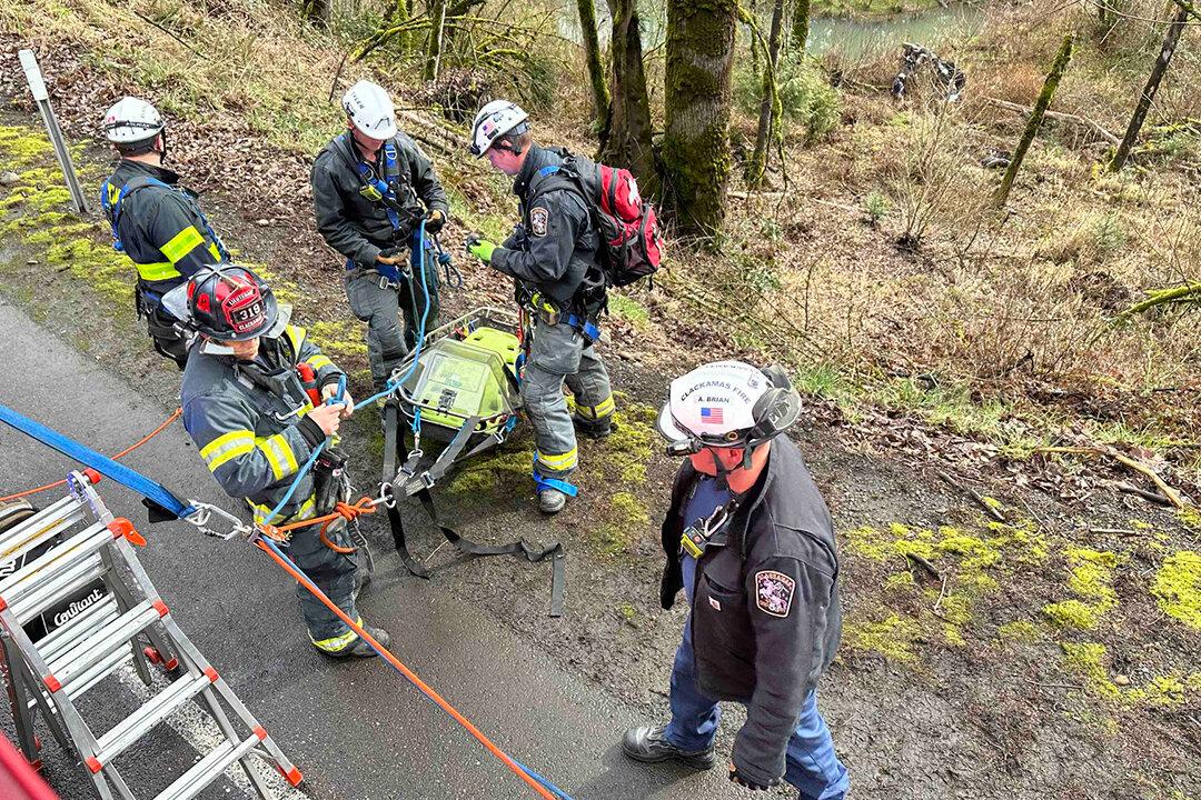 Distracted Driver Survived 200-Foot Cliff Jump