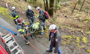Distracted Driver Survived 200-Foot Cliff Jump