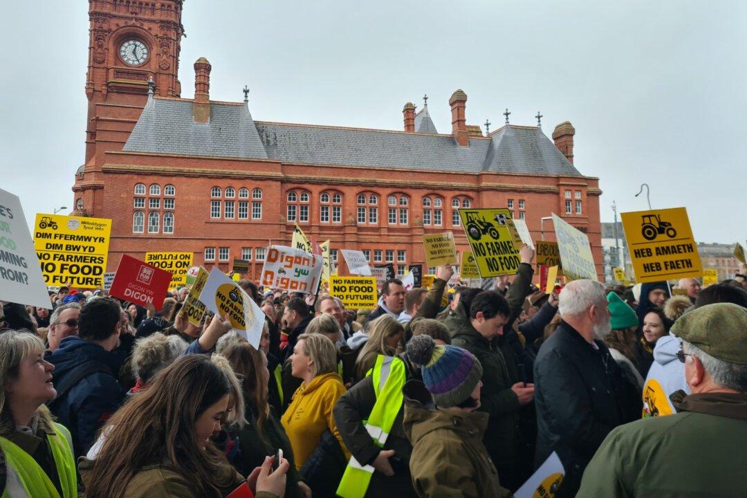 Welsh Farmers Rally in Cardiff Under ‘No Farmers No Food’ Banner