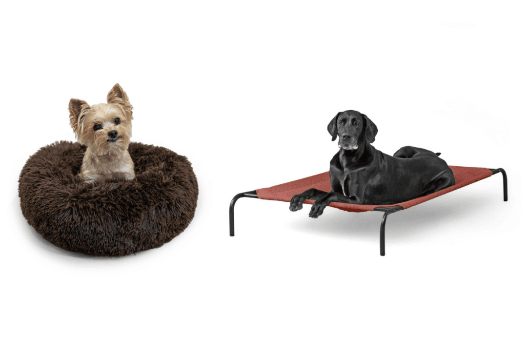 The Best Dog Beds