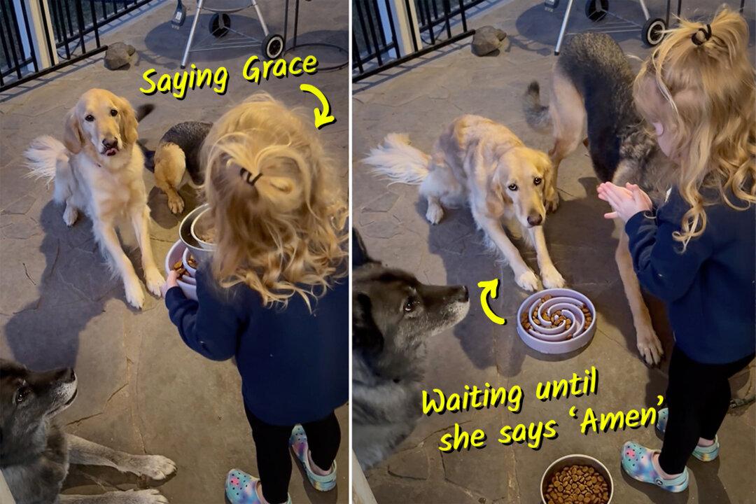 Toddler Goes Viral for Telling Dogs to ‘Say Grace’ Before Meal—But Watch When She Says ‘Amen’