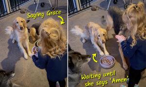 Toddler Goes Viral for Telling Dogs to ‘Say Grace’ Before Meal—But Watch When She Says ‘Amen’