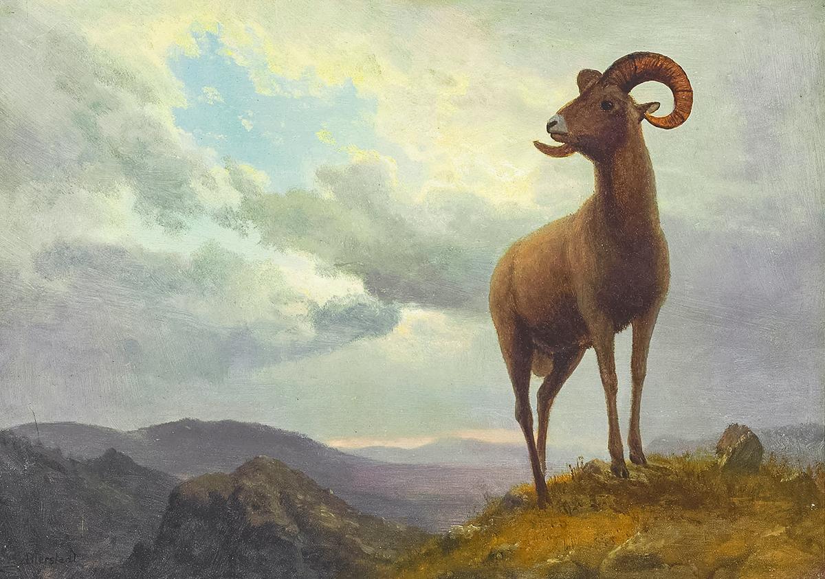 Bierstadt’s Beasts