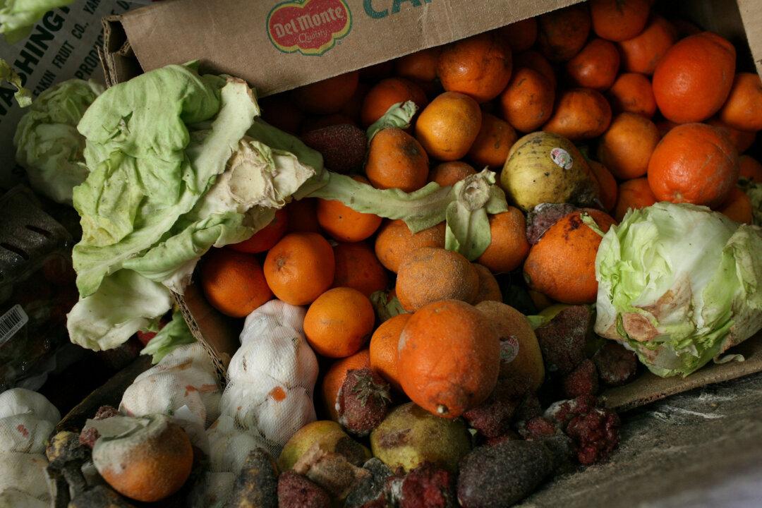 Food Waste Diversion Efforts Not as Effective as Hoped, UCSD Study Finds