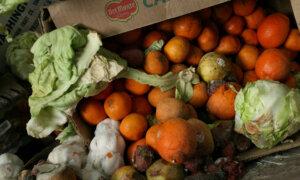 New Law Gives California Green Light to Fine Residents Who Don’t Recycle Food Waste