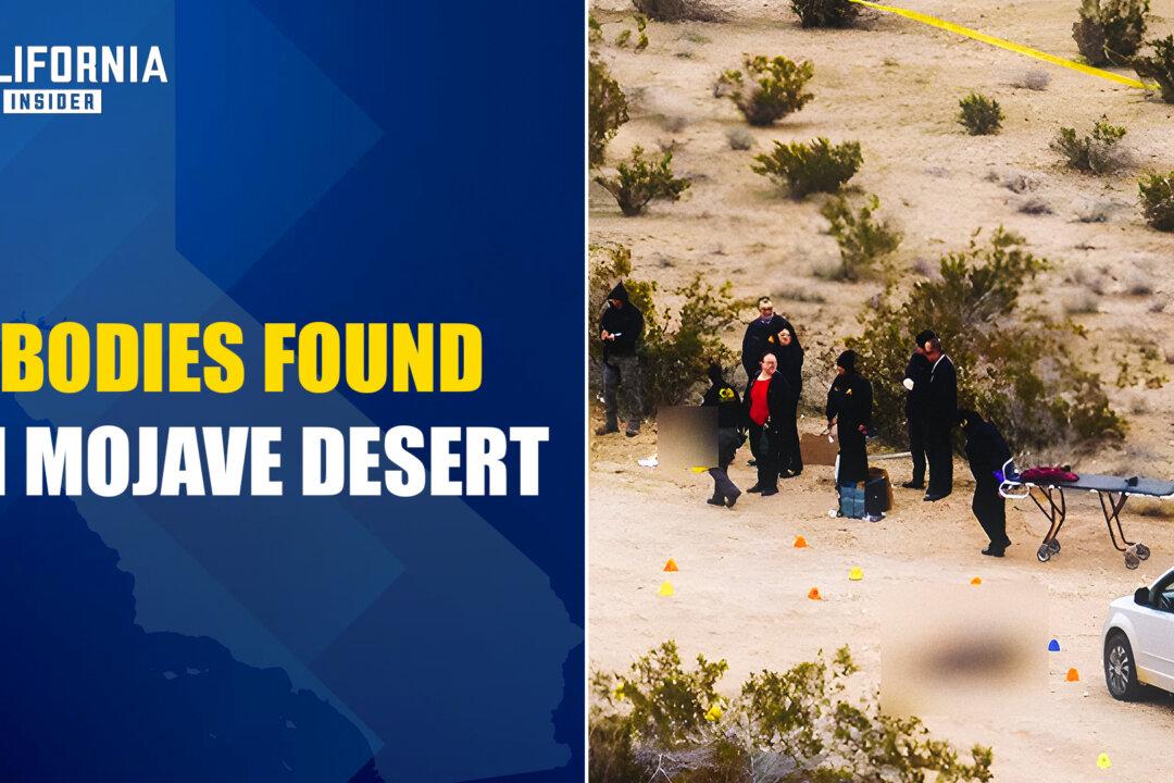 6 Bodies Found, Sheriff Warns of Cartel Presence in Mojave Desert | Shannon Dicus