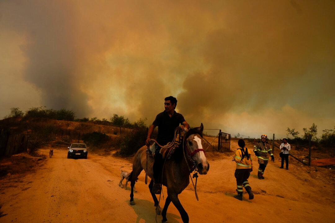 Forest Fires Rage On in Central Chile, Killing at Least 112