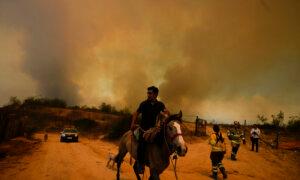 Forest Fires Rage On in Central Chile, Killing at Least 112