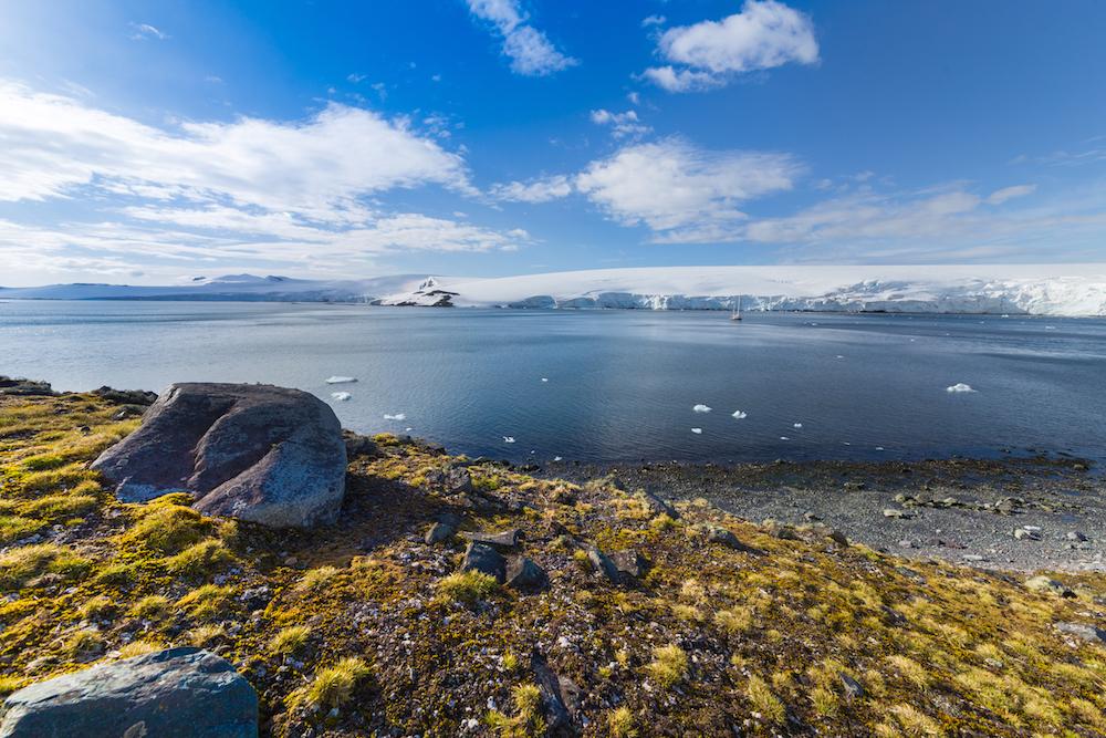 The South Shetland Islands are located at the northern tip of the Antarctic Peninsula, making them a gateway to Antarctica for scientific expeditions and tourism. (ViktoriaIvanets/Shutterstock)
