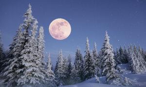 Full ‘Snow Moon’ in February Will Be a ‘Micro Moon’—And It’s the Exact Opposite of a Super Moon