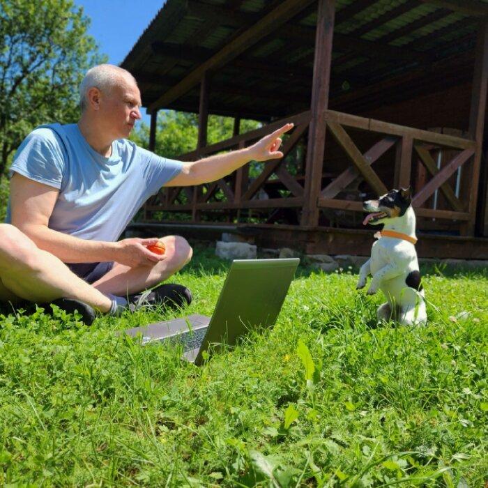 The Father Started an ‘Immediate Passive Income’ Side Hustle That Earns up to $7,000 a Month: ‘Let the Money Roll In’