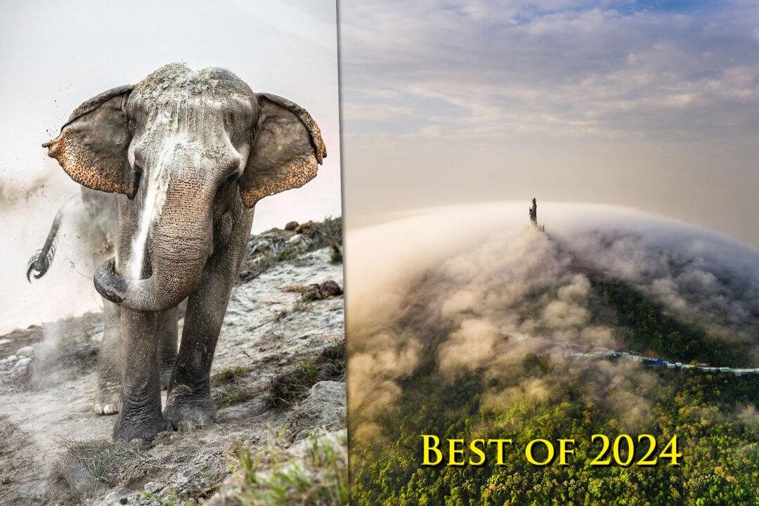 Best Photos of 2024: Sony World Photography Awards Releases Winners From 54 Countries—Here They Are
