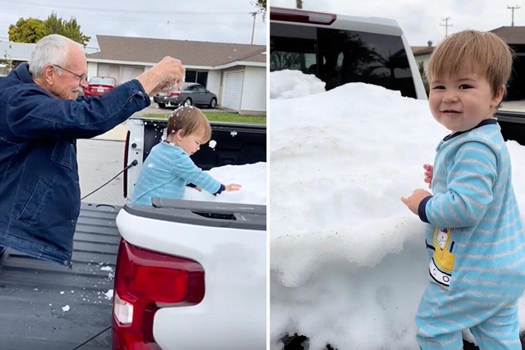 Elderly Couple Drives 86 Miles to Bring Snow to Their Great-Grandson Who Had Never Seen It Before