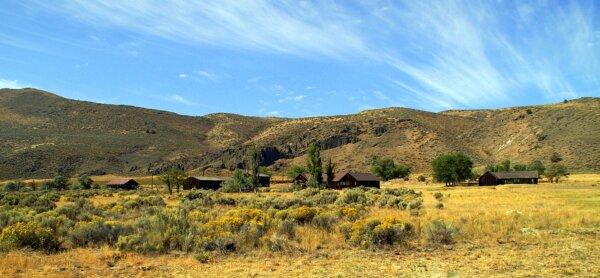 Patriotism Behind Barbed Wire