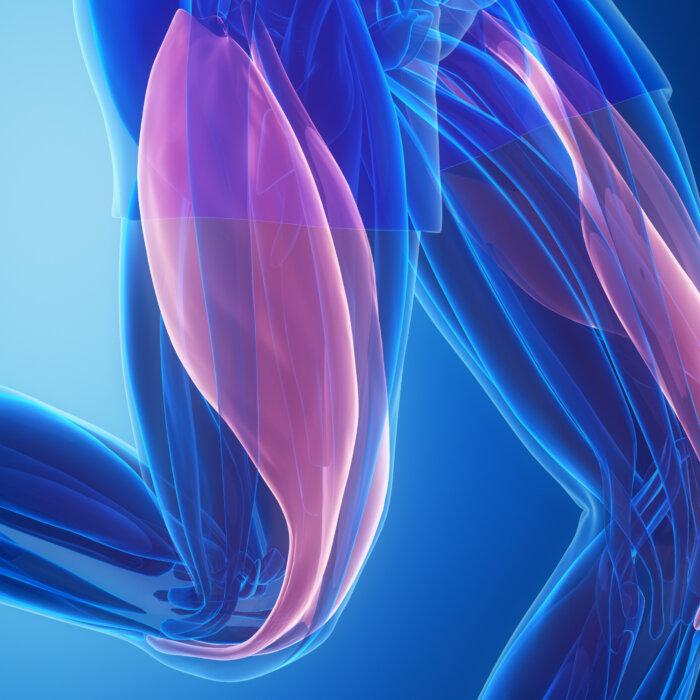 7 ‘Quadzilla’ Exercises to Strengthen Weak Legs and Improve Mobility