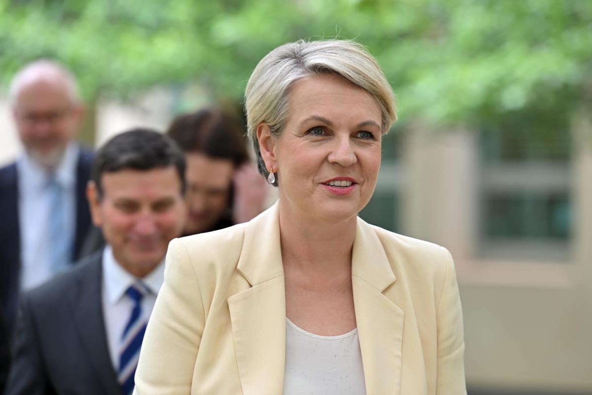 Minister for Environment Tanya Plibersek said she was not satisfied the Lee Point project was a significant Aboriginal area. . (AAP Image/Mick Tsikas)