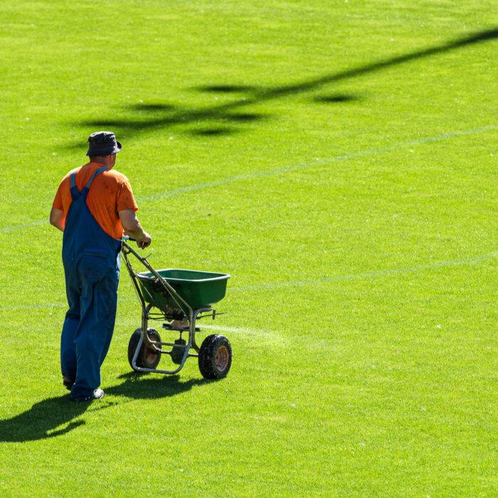 Excessive Phosphorus in Our Environment: Impacts on Human Health