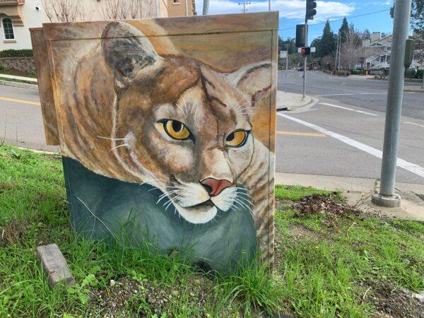 A painting of a mountain lion by Suzanne Gayle on a public utility box in Hayward, Calif., on Jan. 28, 2024. (Helen Billings/The Epoch Times)