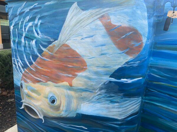 A painting of a koi fish by Suzanne Gayle on a public utility box in Livermore, Calif., on Jan. 28, 2024. (Helen Billings/The Epoch Times)